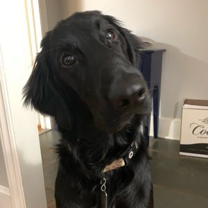 Meet your Posher, Bryan